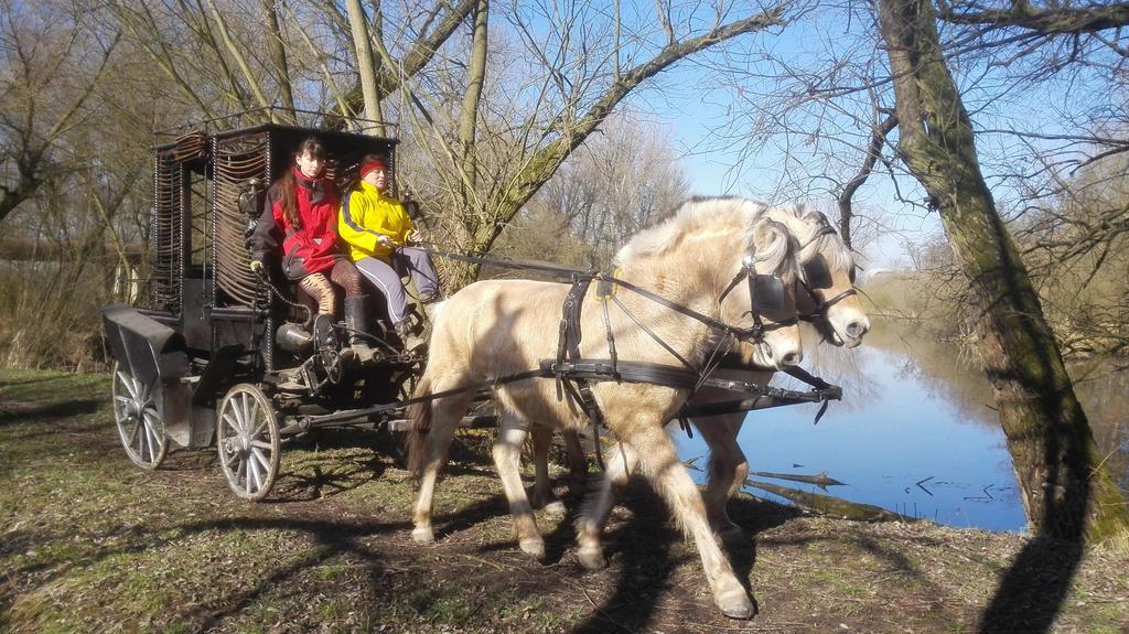 Вілла Zoopark Zelcin Мельник Екстер'єр фото
